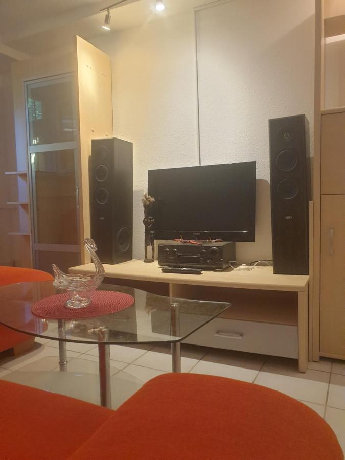 Sions Grosse Ferienwohnung Ferienwohnung Mit 3 Schlafzimmer, 2 Km Bis Zum Europapark Rust Kappel-Grafenhausen Extérieur photo